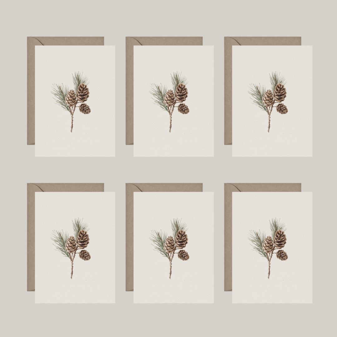 Set van 6 dubbele kaartjes met envelop | dennenappels