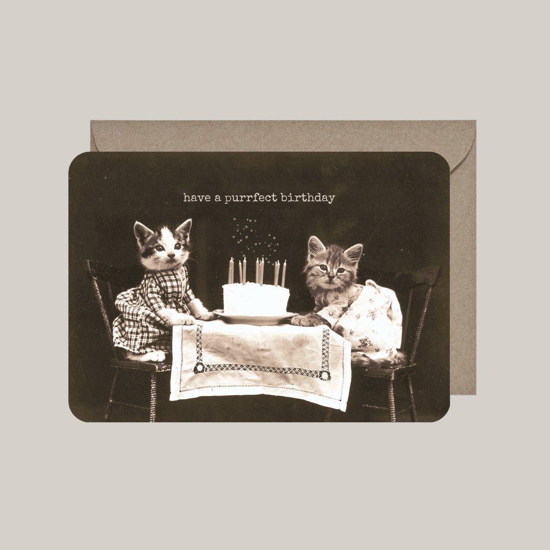 Card with envelope | have a purrfect birthday