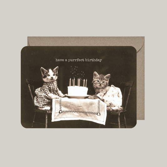 Card with envelope | have a purrfect birthday