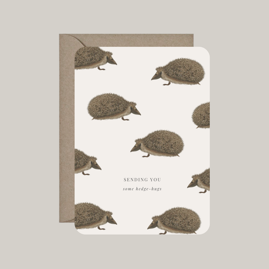 Kaart met envelop | sending you some hedge-hugs