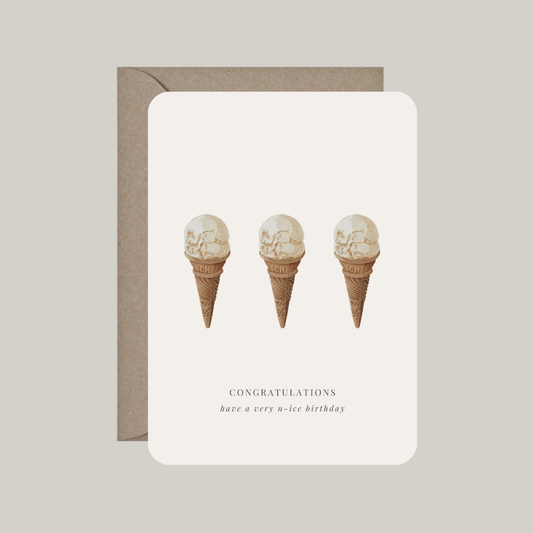 Kaart met envelop | congratulations - have a very n-ice birthday