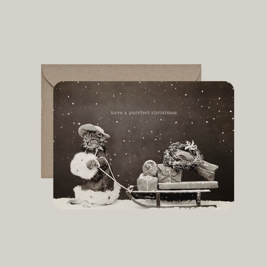Kaart met envelop | have a purrfect christmas