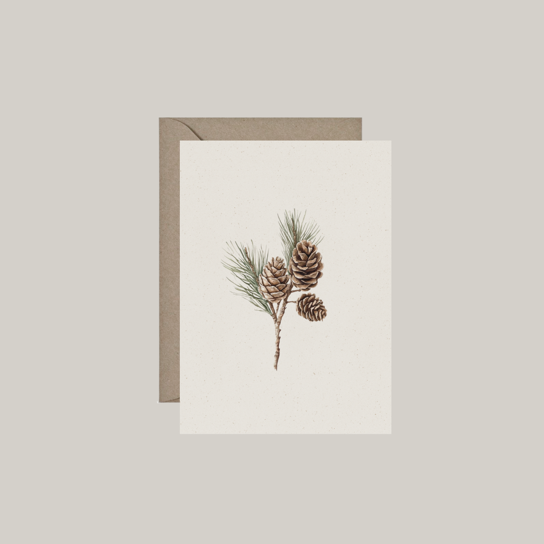 Set van 6 dubbele kaartjes met envelop | dennenappels