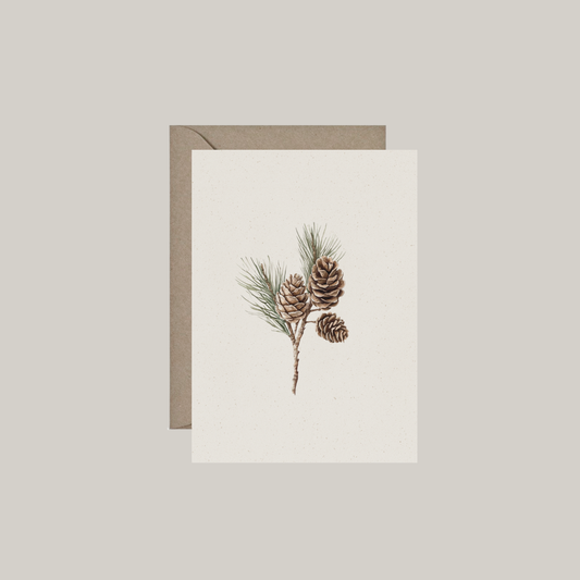 Set van 6 dubbele kaartjes met envelop | dennenappels