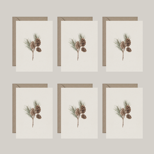 Set van 6 dubbele kaartjes met envelop | dennenappels