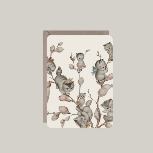 Kaart met envelop | wilgenkatjes